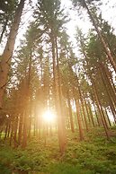 Naturkost-Hotel Harz