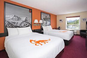 Fernie Fox Hotel