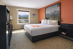 Fernie Fox Hotel