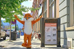 Fernie Fox Hotel