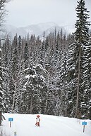 Fernie Fox Hotel