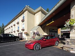 Fernie Fox Hotel