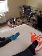 Fernie Fox Hotel