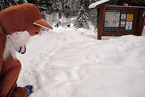 Fernie Fox Hotel