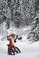 Fernie Fox Hotel