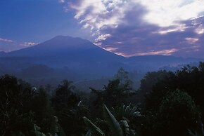 Alila Manggis, Bali