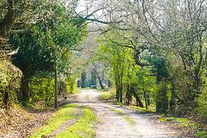 New Forest Lodge