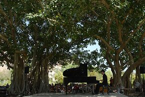 Ein Gedi Kibbutz Hotel