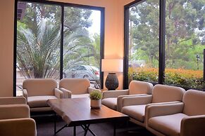 ibis Sydney Thornleigh