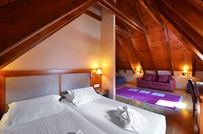 Hotel Acevi Val d'Aran