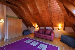 Hotel Acevi Val d'Aran