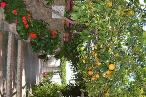 Hotel Tirreno Residence