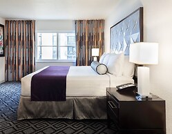 Solara Surfside
