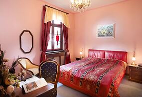 Hotel U Páva