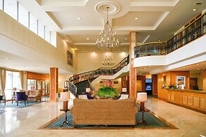Rutherford Hotel Nelson