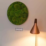 rugs HOTEL Köln