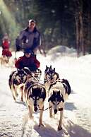 Algonquin Eco-Lodge