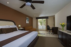 Gamma Cuernavaca Puerta Paraiso