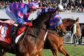 Quest Ascot