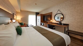 Stay Inn