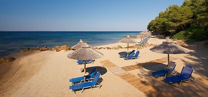 Blue Dolphin Hotel