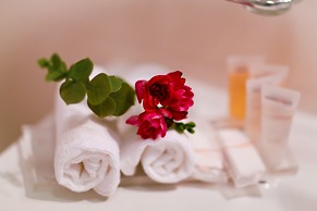 Hotel Elysee