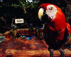 A'Famosa Resort