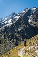 Walliserhof Grand-Hotel & Spa Saas-Fee