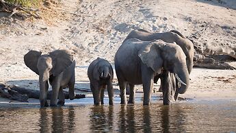 Chobe Marina Lodge