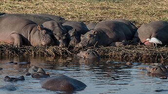 Chobe Marina Lodge