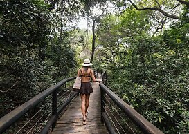 Malkoha Lake St. Lucia