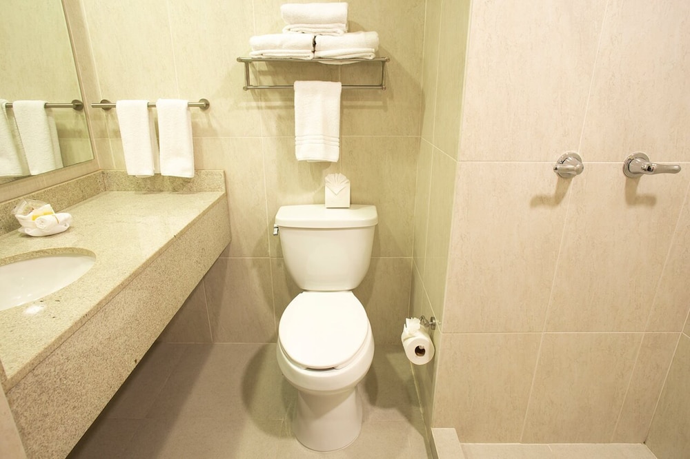 Hotel Plaza Calzada