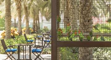 Coral Beach Resort - Sharjah