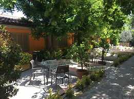 Orto di Roma