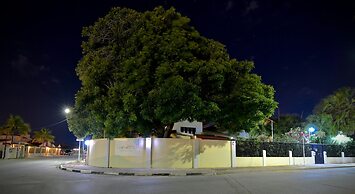 Wonders Boutique Hotel