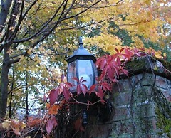 Shadow Lawn Inn