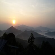 Poetree Thekkady