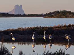 El Lago Dorado