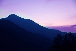 Green Trees Munnar