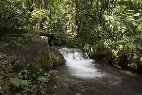 Bosque de Paz