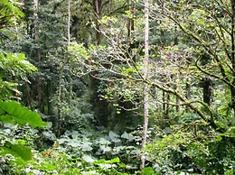 Bosque de Paz