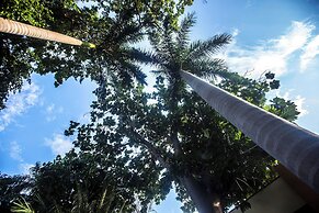 Hotel Plaza Mirador