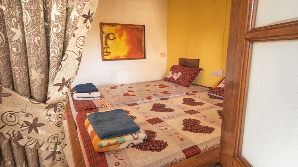 Dancing Elephant Beach Club - Hostel