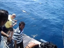 Plus View Maldives