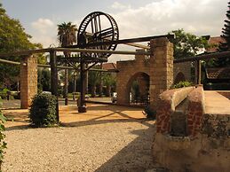 Hapina Shel Michal