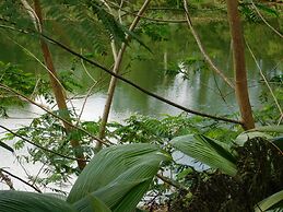 Rainforest Eco Lodge