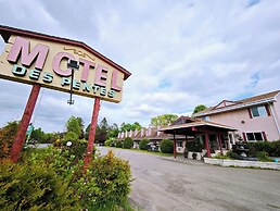 Motel des Pentes et Suites