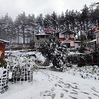 Hotel Mount Paradise