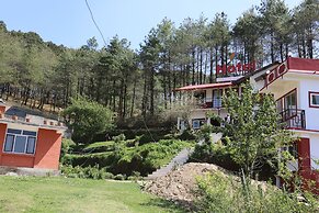 Hotel Mount Paradise