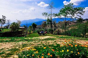 Hotel Mount Paradise